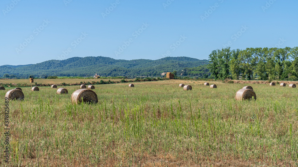 Field with circular straw bales in Girona, Catalonia, Spain.