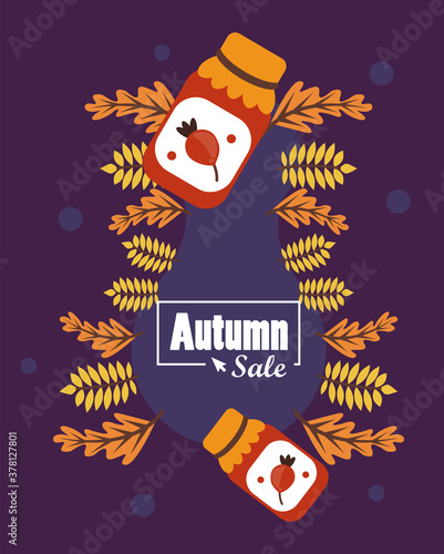 autumn sale season poster with spices and leafs