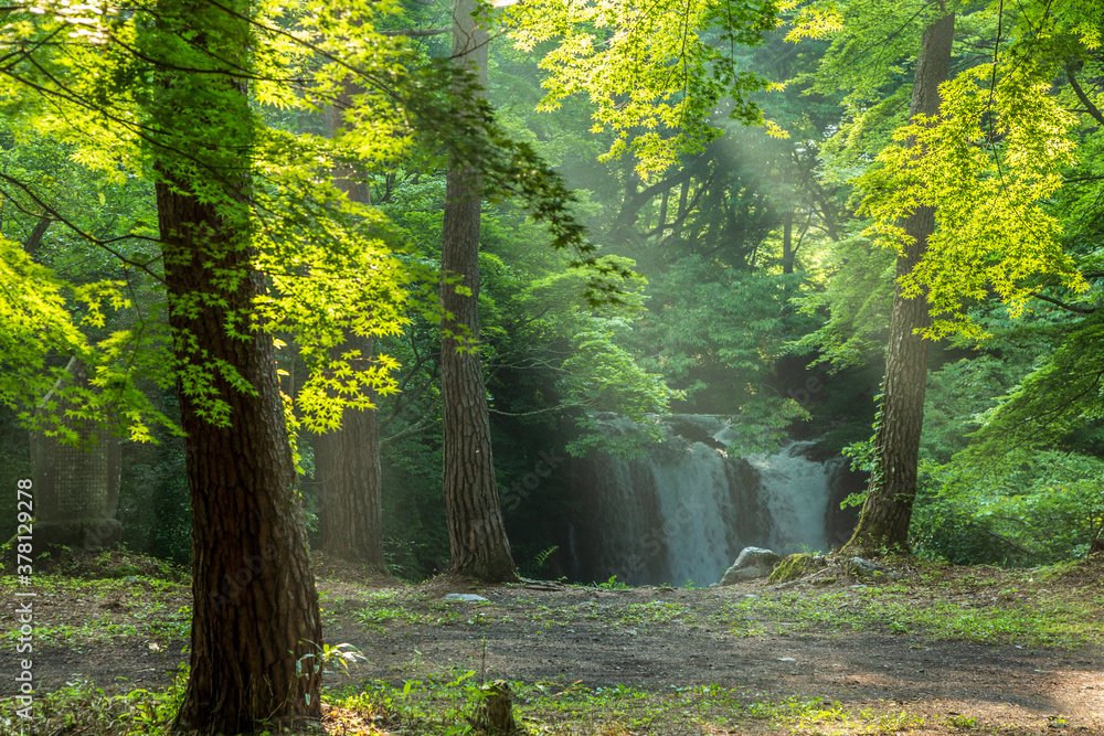 朝日の差し込む鐘山の滝 StockFoto Adobe Stock