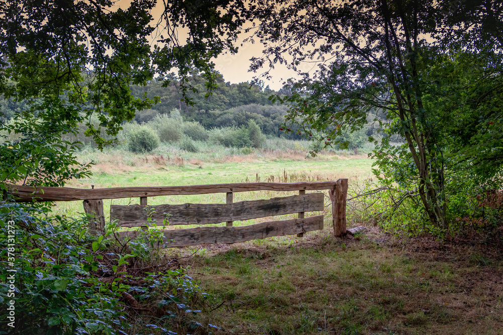 Landscape photo of a meadow in the forest with a wooden fence in the Dutch Twente near the village of Boekelo