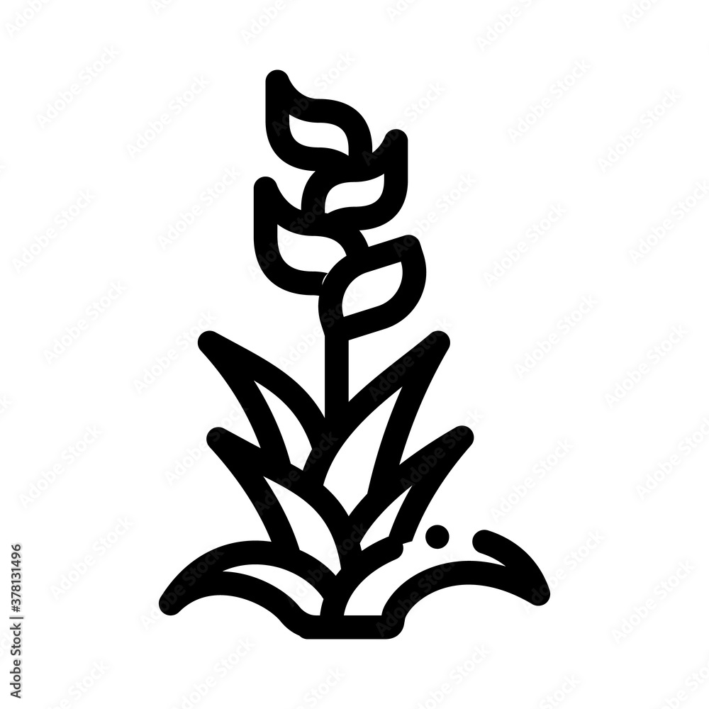 exotic flower icon vector. exotic flower sign. isolated contour symbol illustration exotic flower icon vector. exotic flower sign. isolated contour symbol illustration