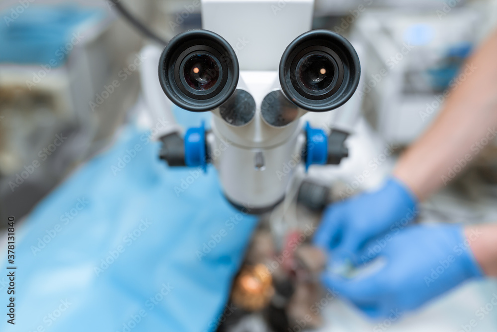 Vet ophthalmologist surgical microscope in operating room. and dog with injured eye on operating table, ready for operation Vet ophthalmologist surgical microscope in operating room. and dog with injured eye on operating table, ready for operation