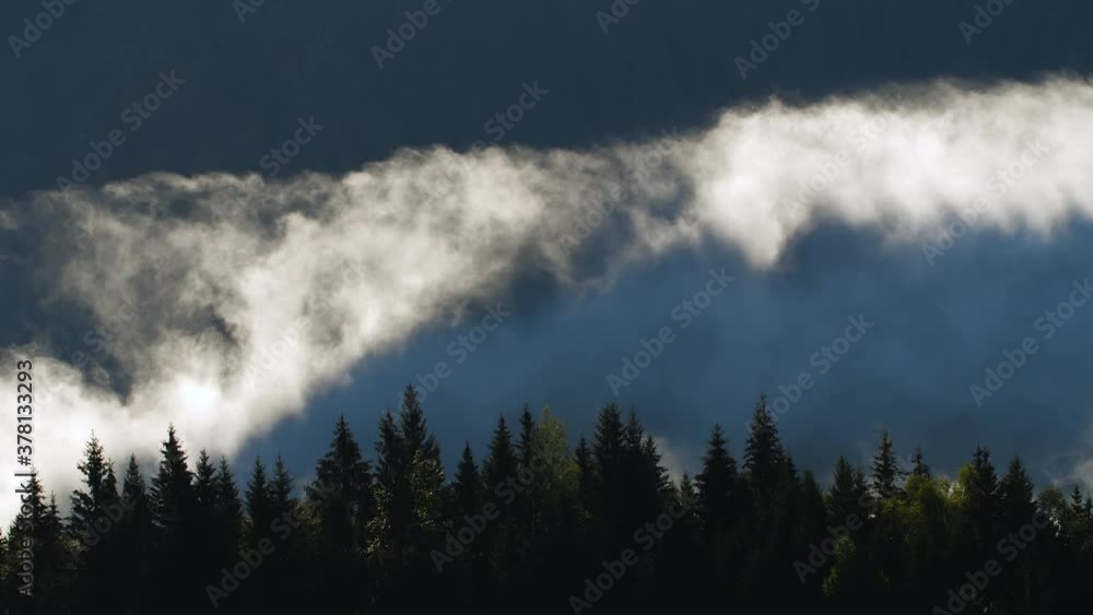 Morning Fog in the Forest, Natural Beautiful Nature Landscape in Mountain, Background Morning Fog in the Forest, Natural Beautiful Nature Landscape in Mountain, Background