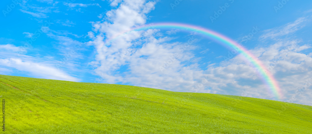 Green grass field with rainbow Stock Photo | Adobe Stock