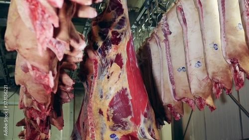 Meat carcasses storaged in the factory premises photo