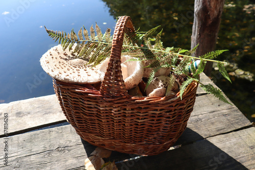  Fresh mushrooms in a wicker basket stand on the bridge on the shore of a forest lake  close-up  side view
