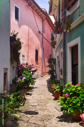 Fototapeta Naklejka Na Ścianę i Meble -  The town center with traditional historic houses, medieval well and the bloom of garden flowers in the small Istrian city Buzet, Croatia