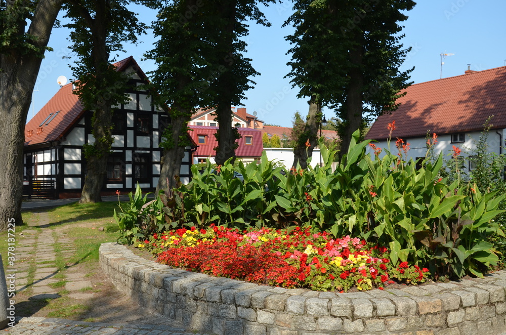 Fototapeta premium kwiat, roz, kwiat, jardin, charakter, roślin, zieleń, kwiat, kwiat, jary, lato, kwiatowy, czerwień, flora, piękne, beuty, fiolet, petunia, busz, kwitnienie, ogrodnictwo, park, barwa, azalia