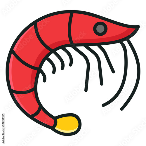 Shrimp