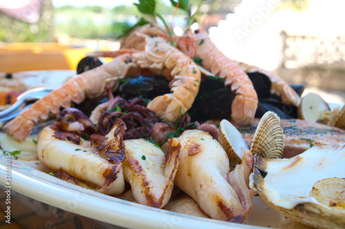 A seafood plate of delicious Adriatic catch of the day - lobster, prawns, shrimps, oysters, mussels, shells, octopus and calamari in wine buzara sauce