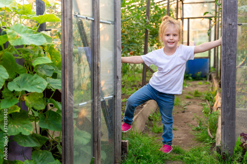 the child is standing in the doorway of the greenhouse. Granddaughter helps with housework on the farm. © Alexandra Selivanova
