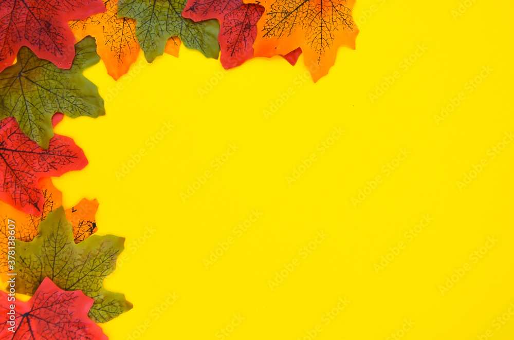 Fototapeta premium Autumn background with red, orange and green leaves of trees on a yellow background. Leaves are located on the left side of form.Blank for a cover, presentation, banner or postcard. Space for text.