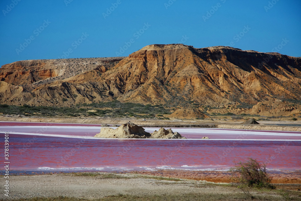 pink salt flats with mountains
