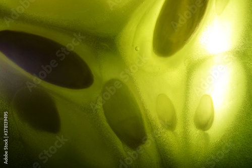 close-up slice of fresh cucumber