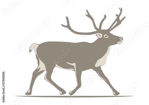 Reindeer silhouette. Two easy-to-change colors. Flat vector. © norsob