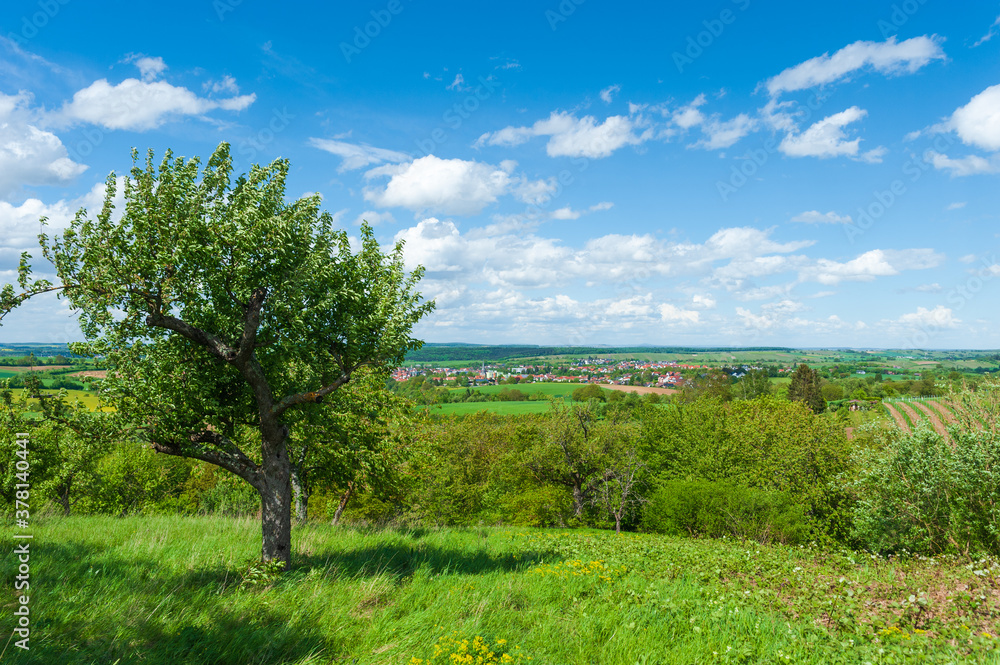 View from the Derdinger Horn by Oberderdingen