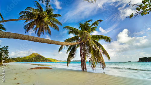 A Sunny morning  the sand of the beach smoothed by the incoming waves  two palm trees bent to the water.