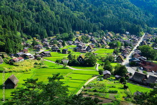世界遺産白川郷の絶景　Superb view of Shirakawa-go, a World Heritage Site in Japan