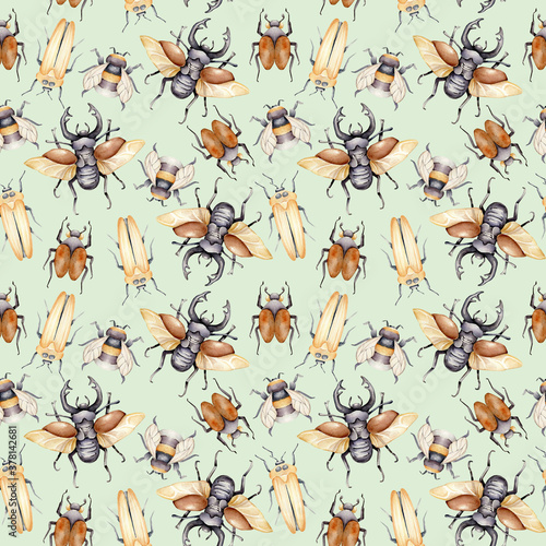 Watercolor seamless pattern with beetles © Victoria