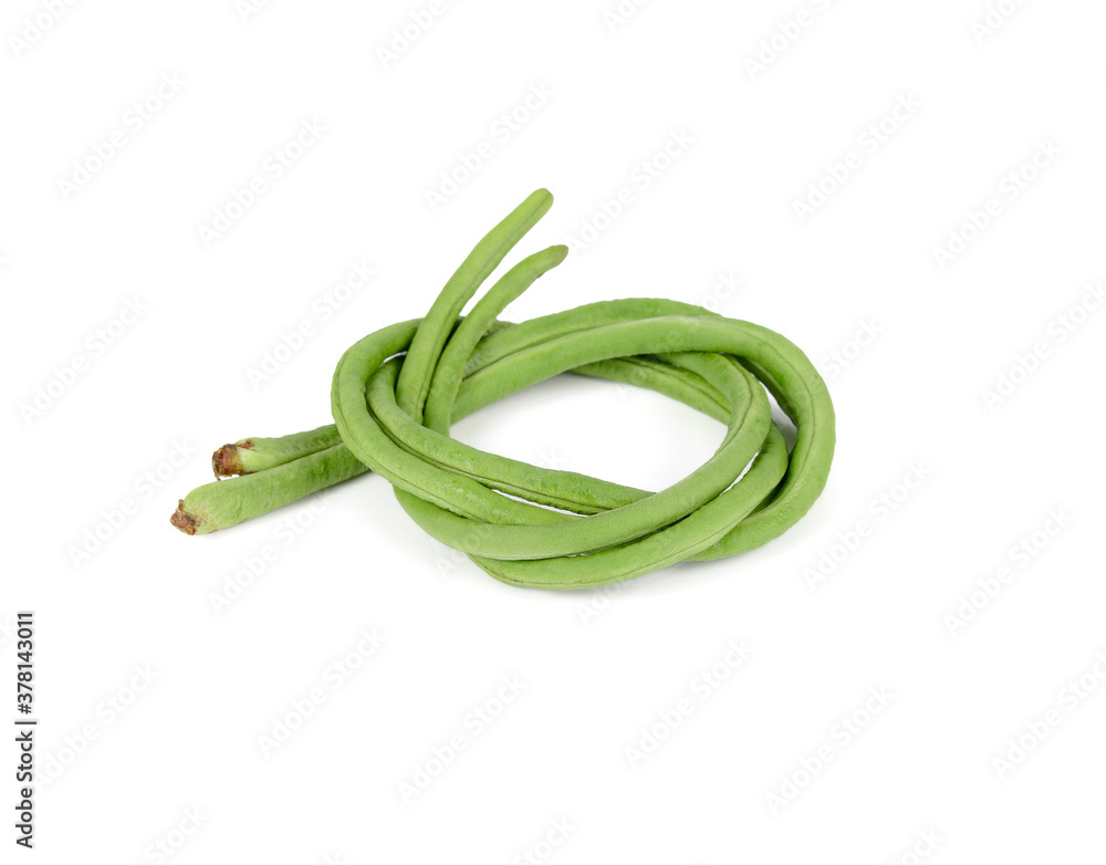 uncooked fresh yard long bean on white background uncooked fresh yard long bean on white background