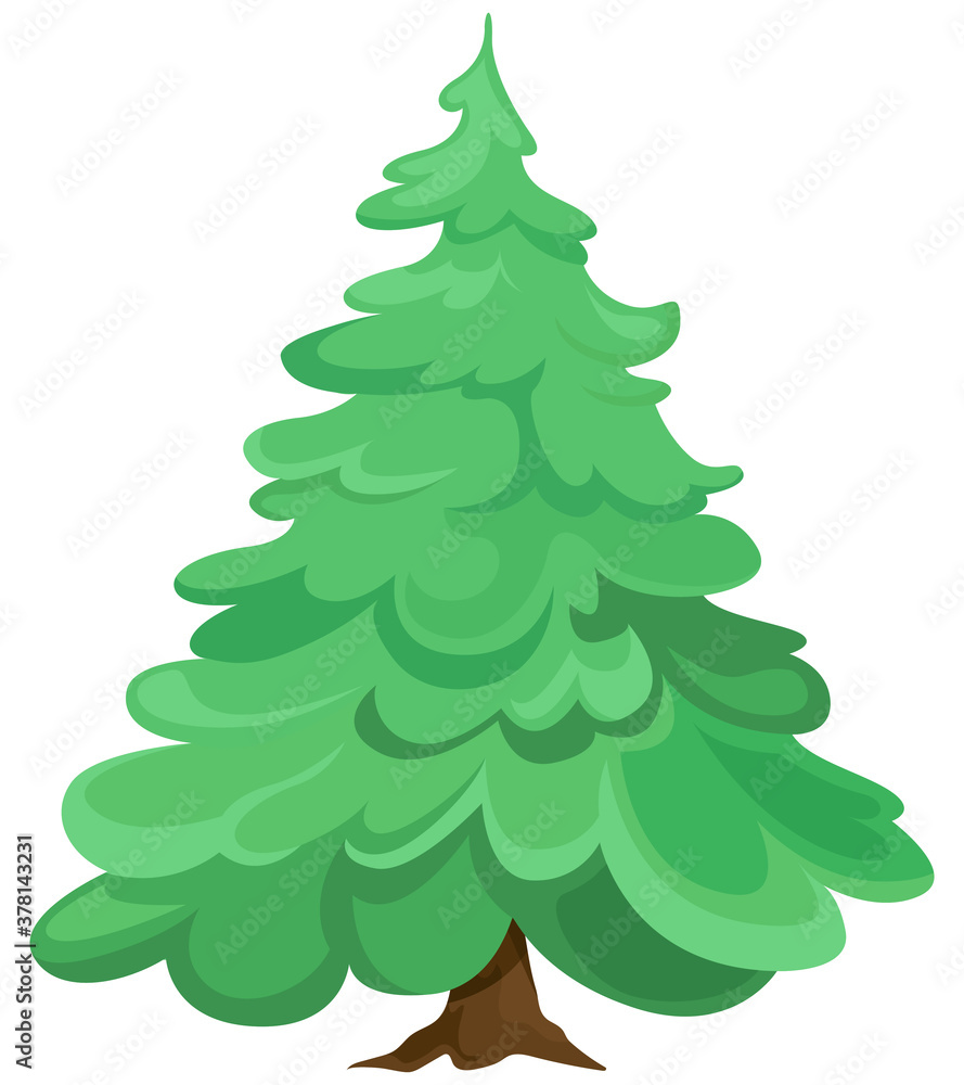 Conifer tree isolated on white background. Spruce in cartoon style. Conifer tree isolated on white background. Spruce in cartoon style.
