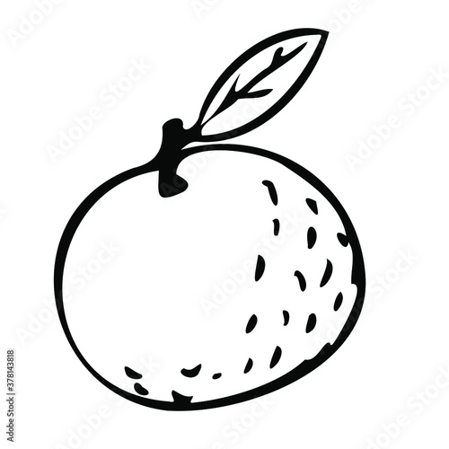 Orange mandarin doodle icon. Isolated white background.