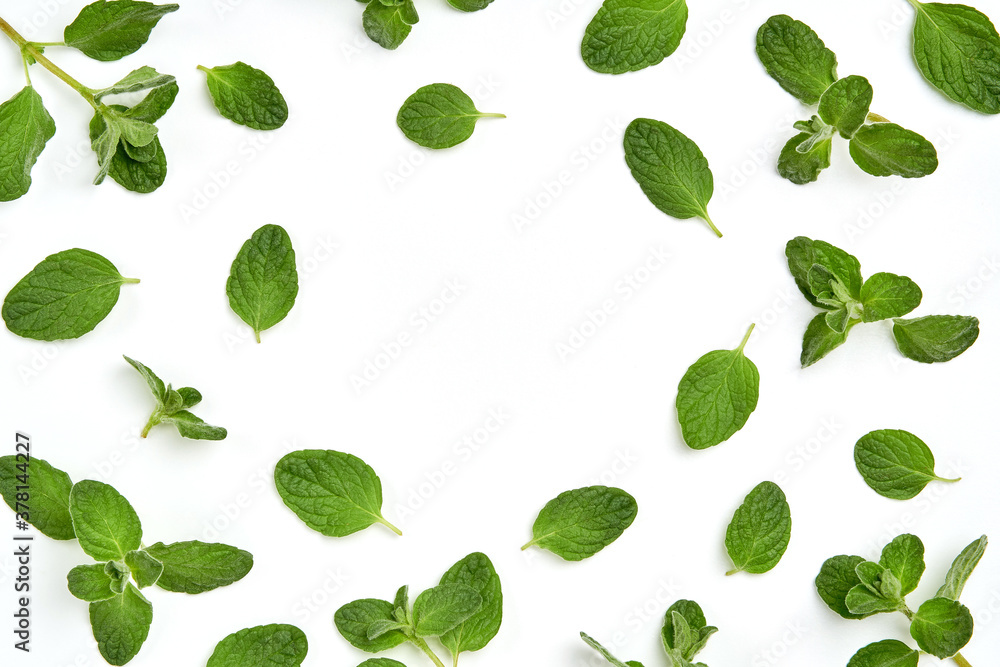 Fresh zaatar, oregano leaves composition on white background. Top view with copy space Fresh zaatar, oregano leaves composition on white background. Top view with copy space