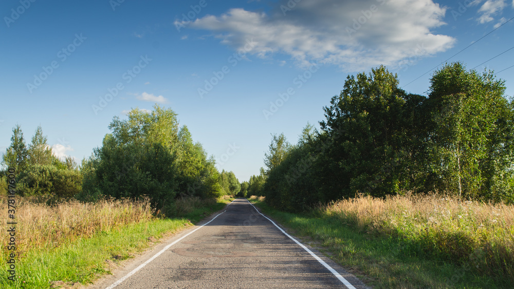 An asphalt road goes into the distance between the trees.