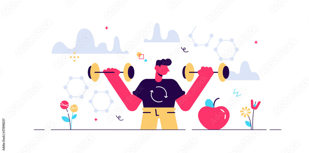 Male metabolism vector illustration. Male metabolism vector illustration.