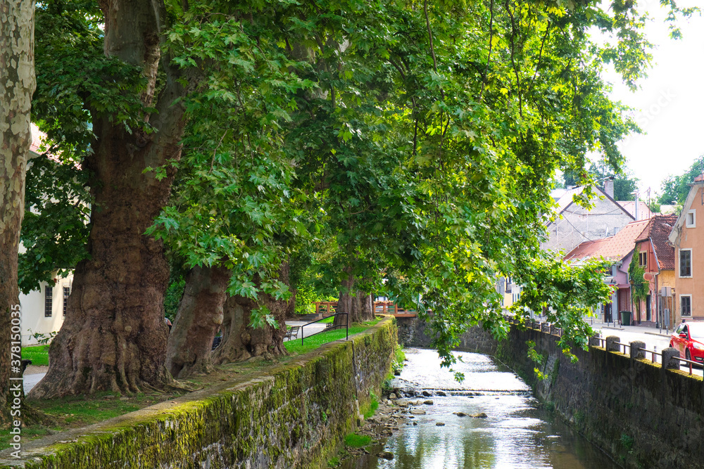 The colorful street view and the water canal of medieval town of Samobor, Croatia The colorful street view and the water canal of medieval town of Samobor, Croatia