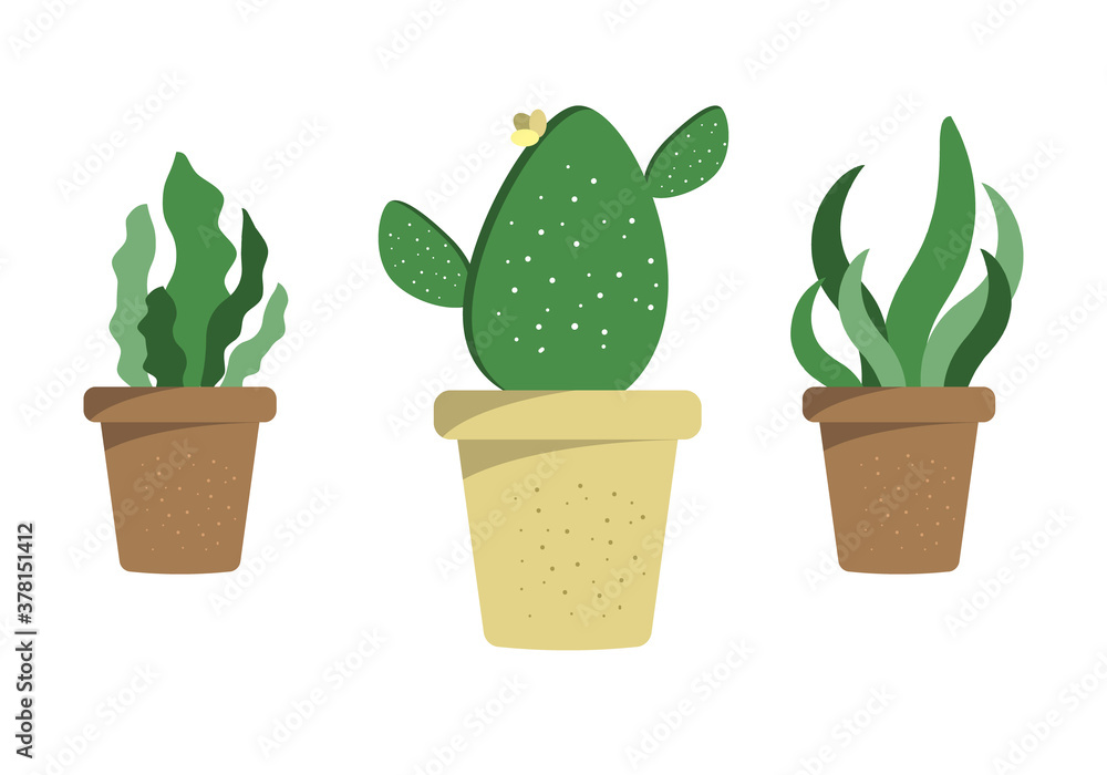 green cactus tree vector on the White Background. green cactus tree vector on the White Background.