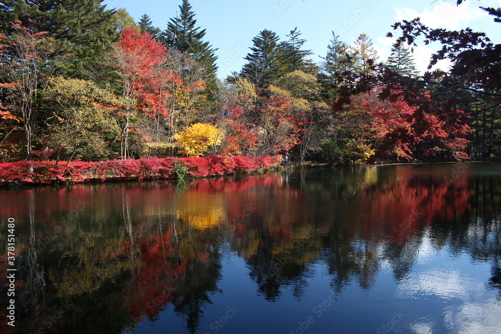 Beautiful Autumn landscape at Kumoba Pond, Karuizawa, Japan Beautiful Autumn landscape at Kumoba Pond, Karuizawa, Japan