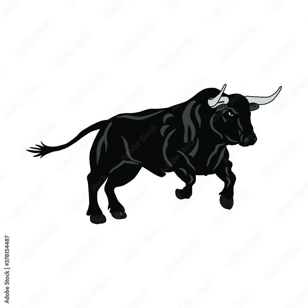 New black bull!