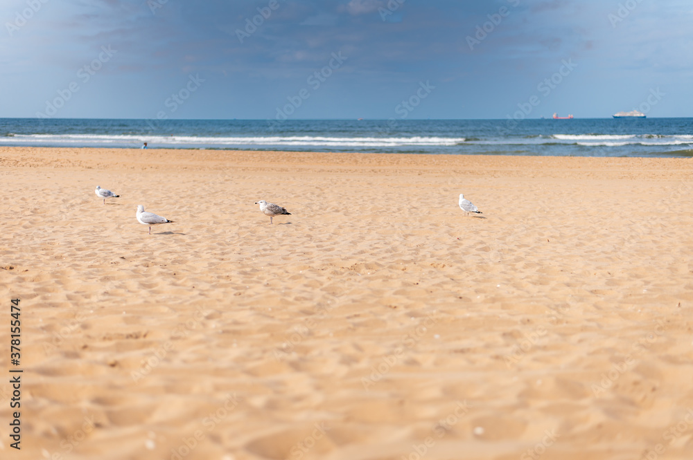 Am Strand von Den Haag - Niederlande - Holland