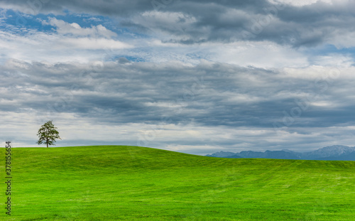 Grüne hügelige Landschaft mit alpenpanorama im Allgäu
