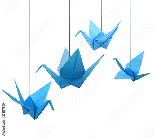 Blue origami paper cranes haning isolated white