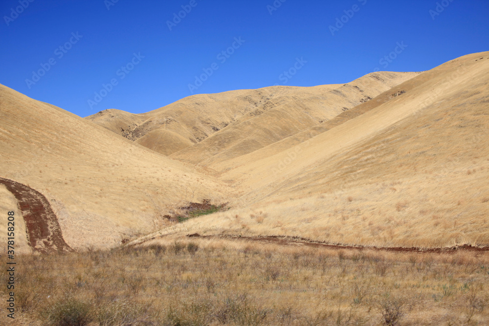 dry landscape in California