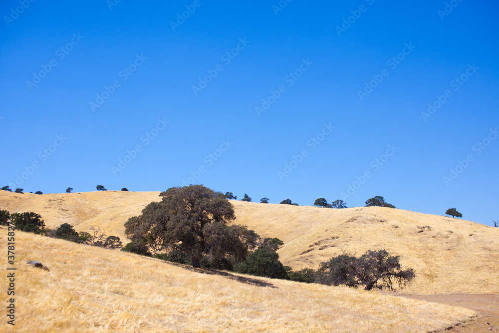 trockene Landschaft in Kalifornien