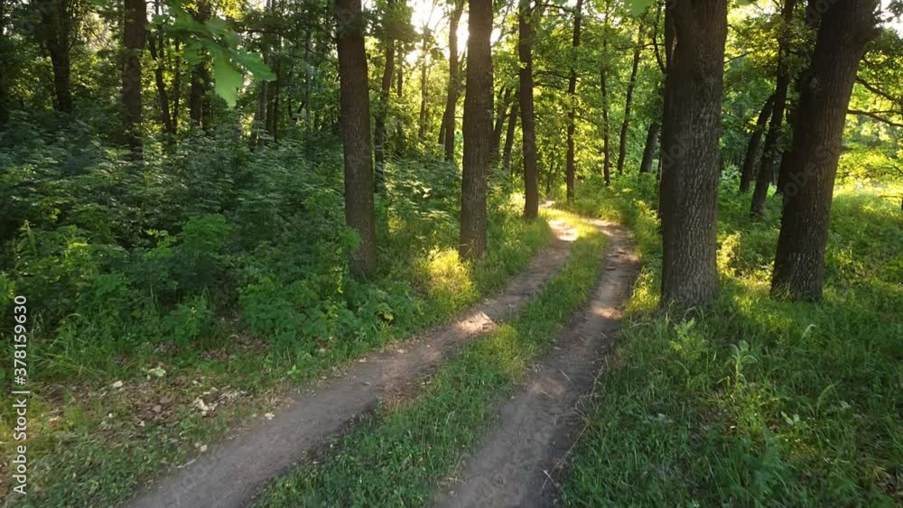 Dirt road in green tree park with sunlight and smooth camera motion. Dirt road in green tree park with sunlight and smooth camera motion.