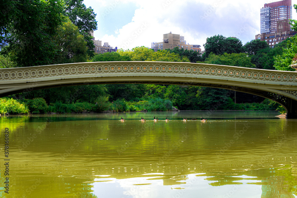 Fototapeta premium bridge in the park