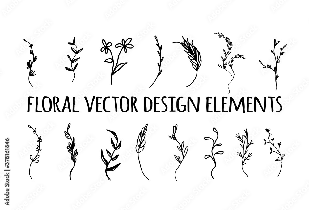 Vector black and white isolate silhouette floral herbal nature leaves and flower doodles set decoration design elements.Abstract plants drawing illustration.Botanical art. Vector black and white isolate silhouette floral herbal nature leaves and flower doodles set decoration design elements.Abstract plants drawing illustration.Botanical art.