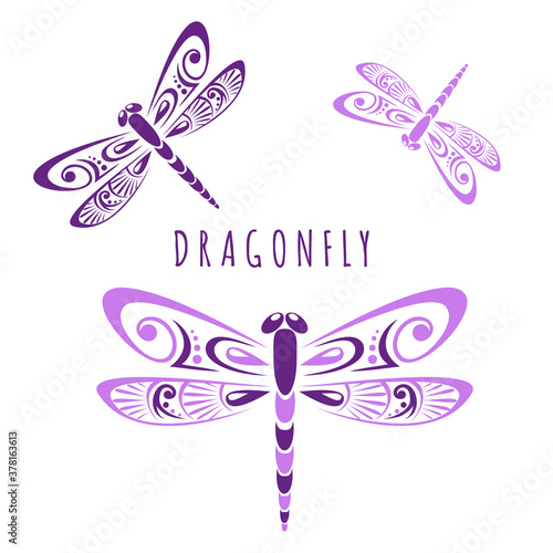 Dragonflies with patterned wings. Styling in flat style. Vector isolated on a white background.