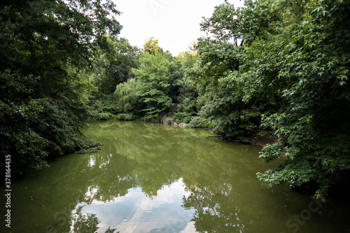 river in the forest in central park manhattan new york