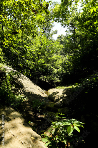 raw nature in central park new york