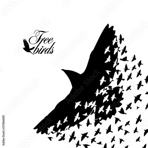 A flock of flying birds. Abstraction from birds. Vector illustration