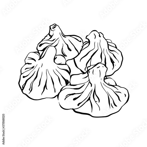 Georgian dumplings Khinkali. Hinkali on white background. Vector drawn illustration.
