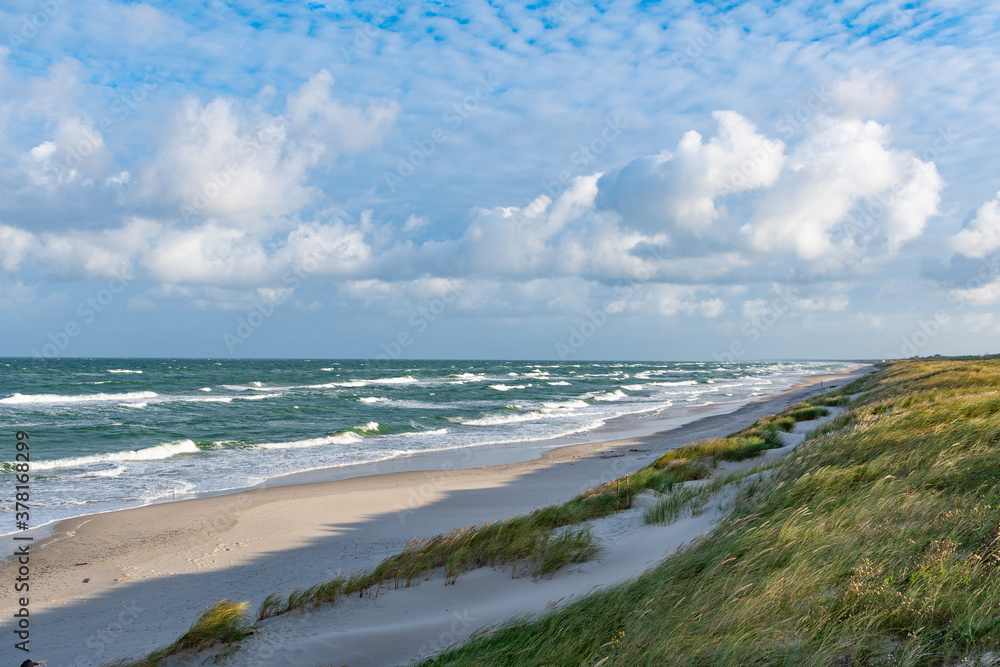 Rough sea with waves in autumn or winter, sandy beach and dunes with reeds and dry grass in the morning
