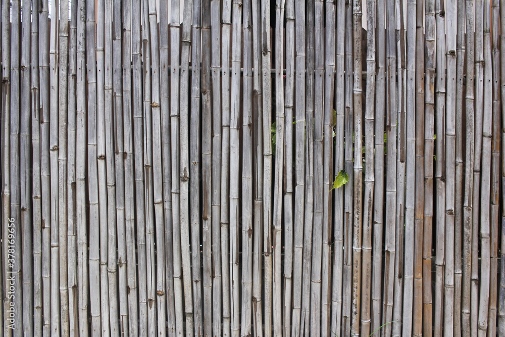 Close-up Bamboo texture and side shadows with natural patterns backgrounds, decoration wallpaper, empty pattern backdrop with white stone Close-up Bamboo texture and side shadows with natural patterns backgrounds, decoration wallpaper, empty pattern backdrop with white stone