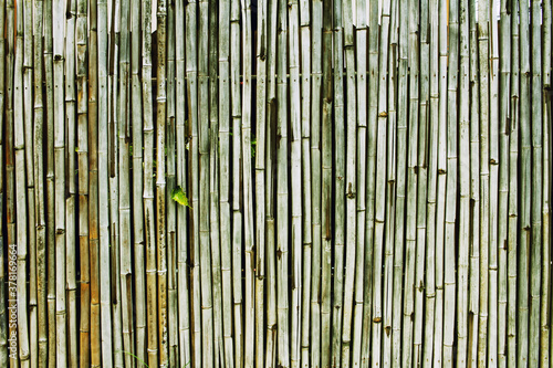 Close-up Bamboo texture and side shadows with natural patterns backgrounds  decoration wallpaper  empty pattern backdrop with white stone