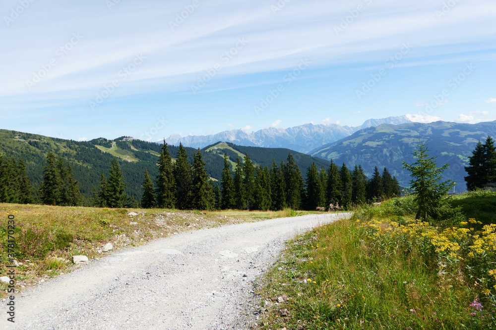 Untouched alpine nature near Zell am See in Austria one summer afternoon - August 25, 2020